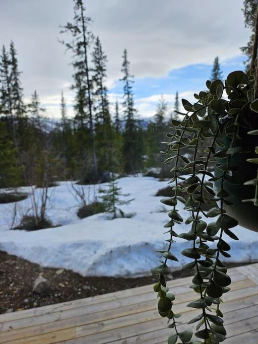 Cozy Mountain Cottage With Beautiful Views & Sauna Beitostolen Exterior foto